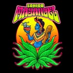 🎵 Sonido Mayahuel (Cumbia) @ La Perla Pixan on Tuesday, January 6, 2026 - Music Events Calendar 📍 Playa del Carmen