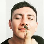 🎵 Mr Muzzik (Reggaeton) @ Onyx Bar on Friday, October 10, 2025 - Music Events Calendar 📍 Playa del Carmen