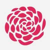 🎵 Mr Shrimp (House) @ Mezontle on Friday, April 3, 2026 - Music Events Calendar 📍 Playa del Carmen